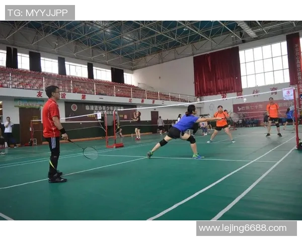 深度解析深圳羽毛球队的管理模式与发展策略