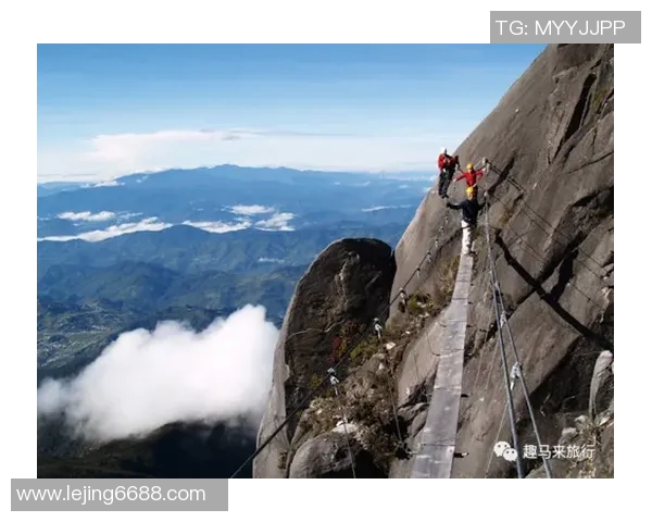 运动数据刘芳的极限运动人生探索与挑战的深度对话之旅
